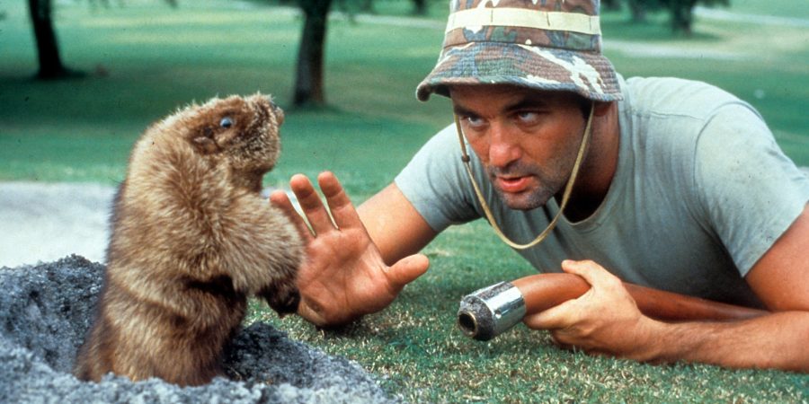 Bill Murray Starts Epic “America!” Chant At Ryder Cup
