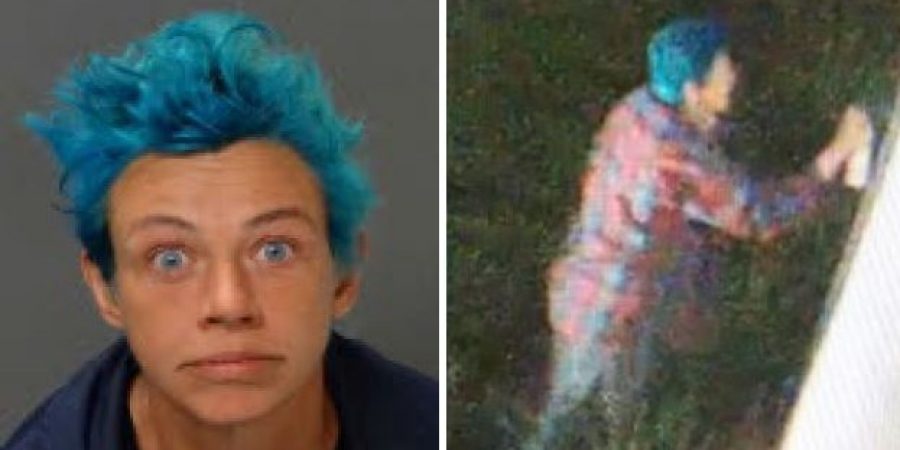 Los Angeles Woman Arrested For Damaging “Several Historical Landmarks” In Anti-Trump Frenzy
